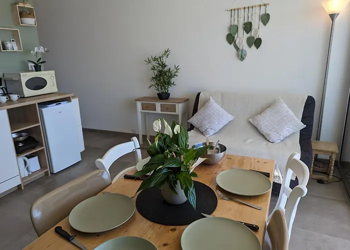 Sol-y-days Le Royal Grand Centre Vue Avec Parking Апартаменты Ле-Гро-дю-Руа